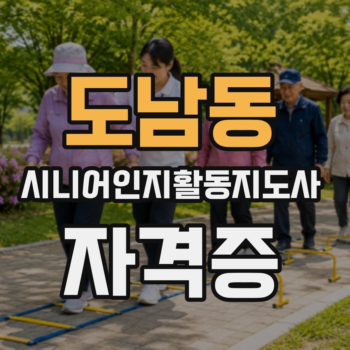 도남동 시니어인지활동지도사 자격증