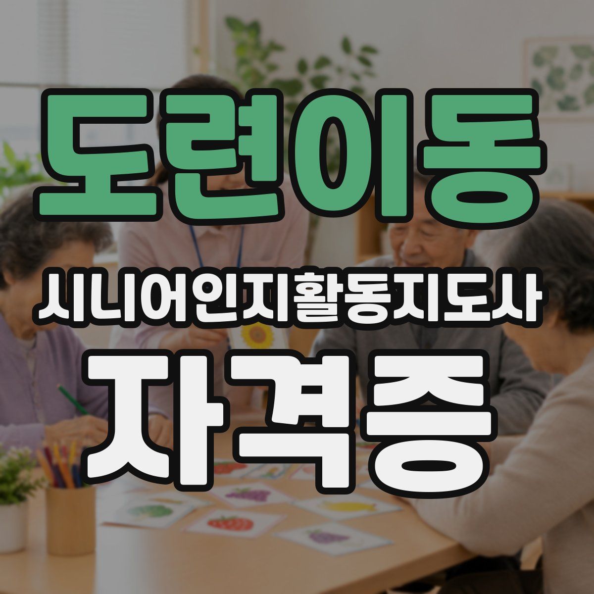 도련이동 시니어인지활동지도사 자격증