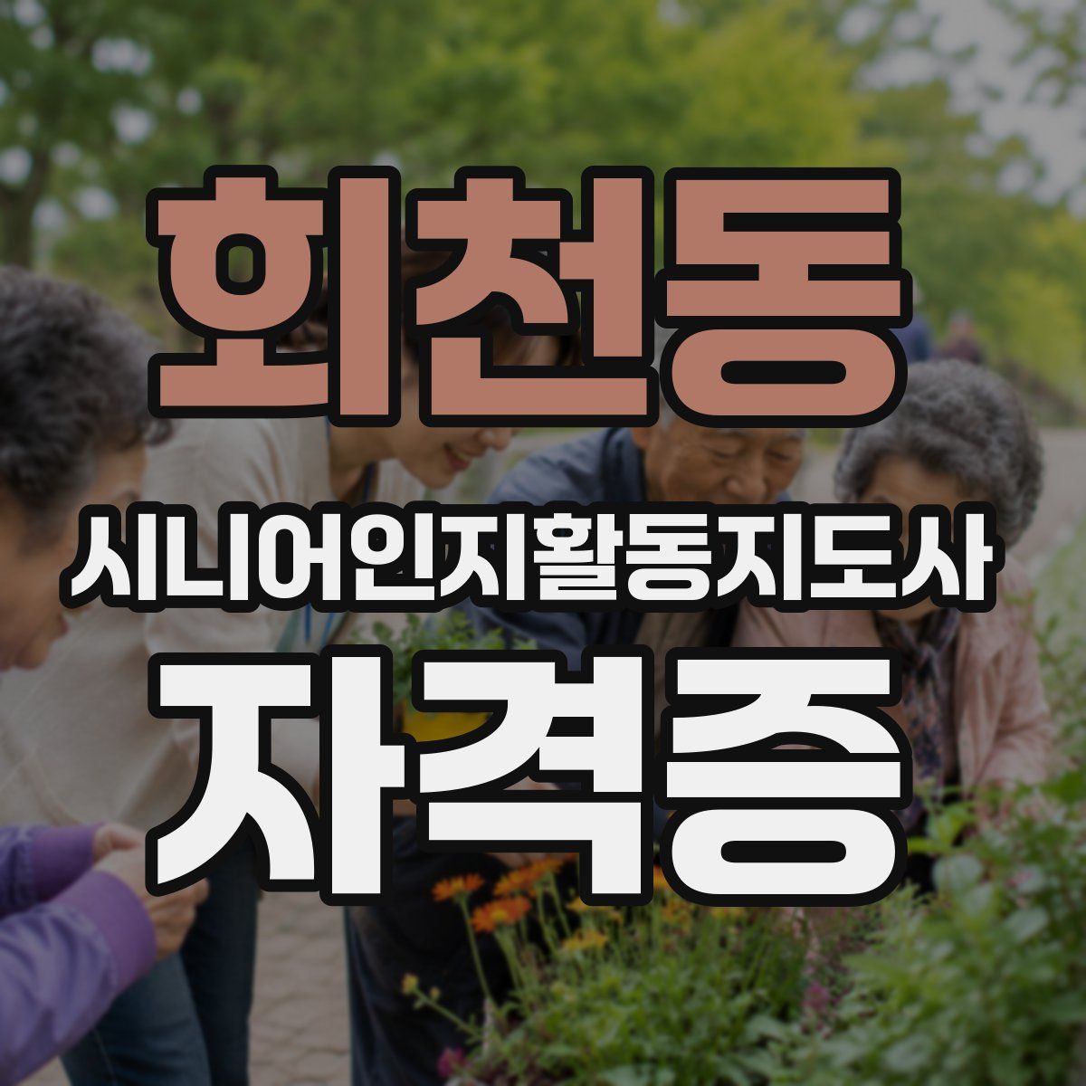 회천동 시니어인지활동지도사 자격증