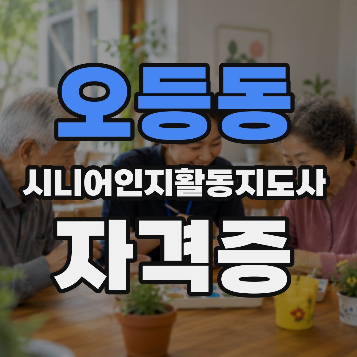 오등동 시니어인지활동지도사 자격증