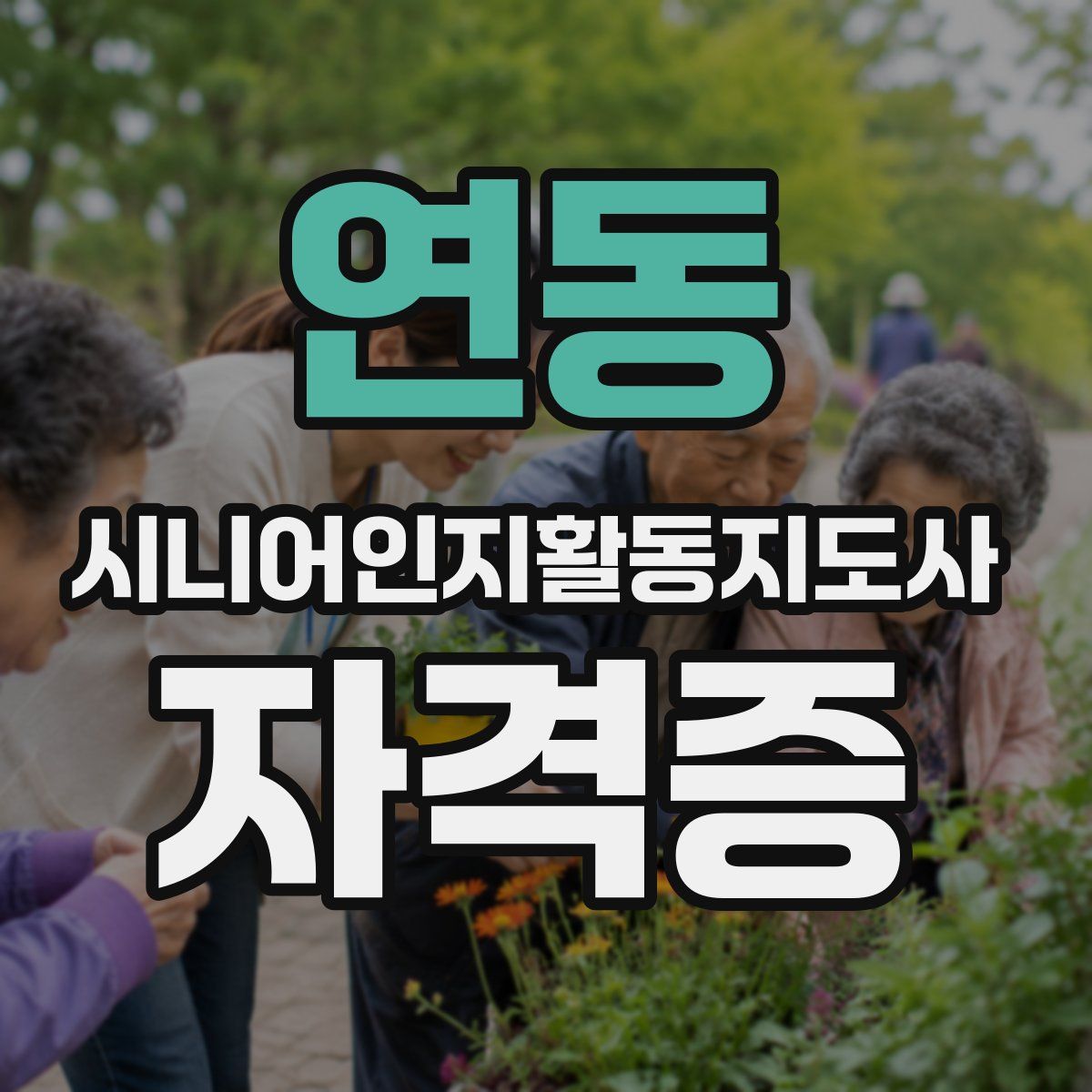 연동 시니어인지활동지도사 자격증
