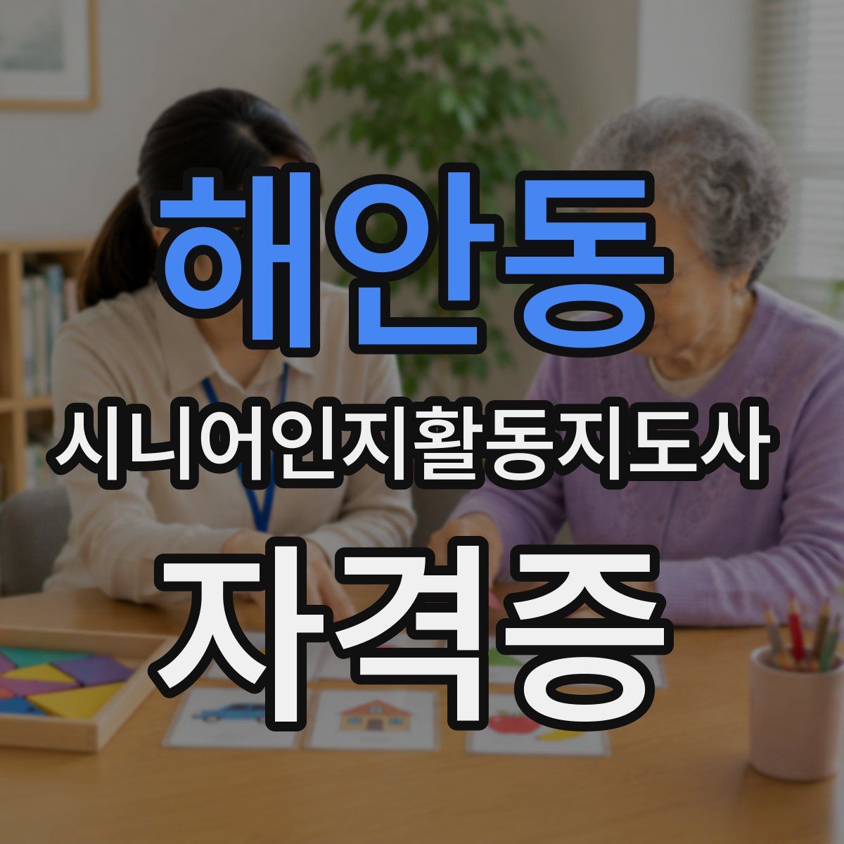 해안동 시니어인지활동지도사 자격증