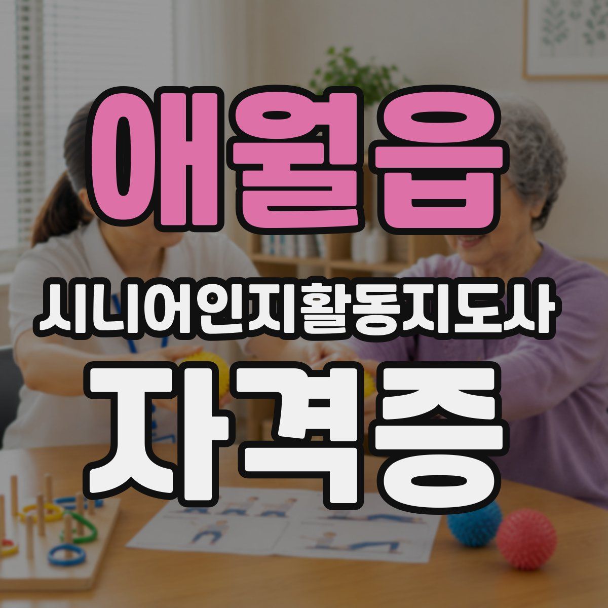 애월읍 시니어인지활동지도사 자격증