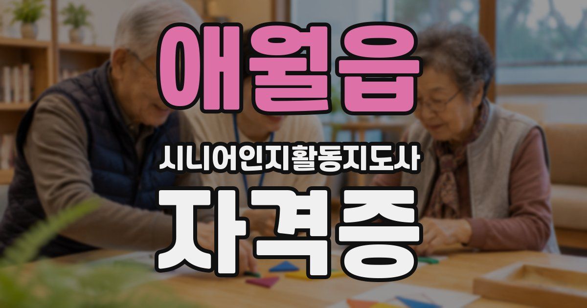 애월읍 시니어인지활동지도사 자격증