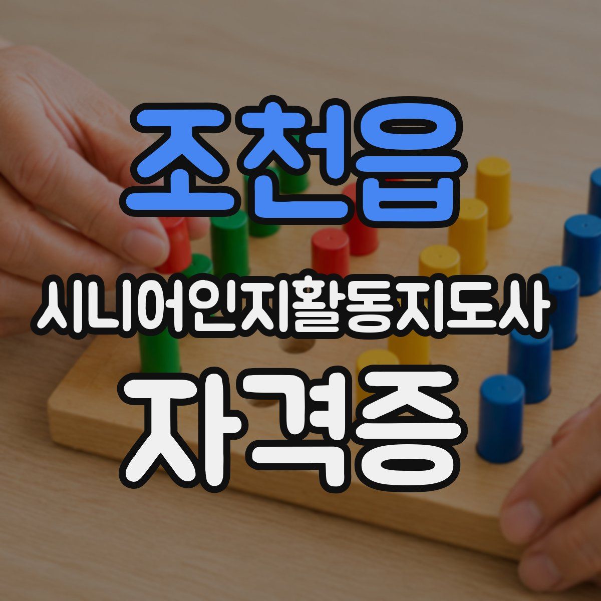조천읍 시니어인지활동지도사 자격증