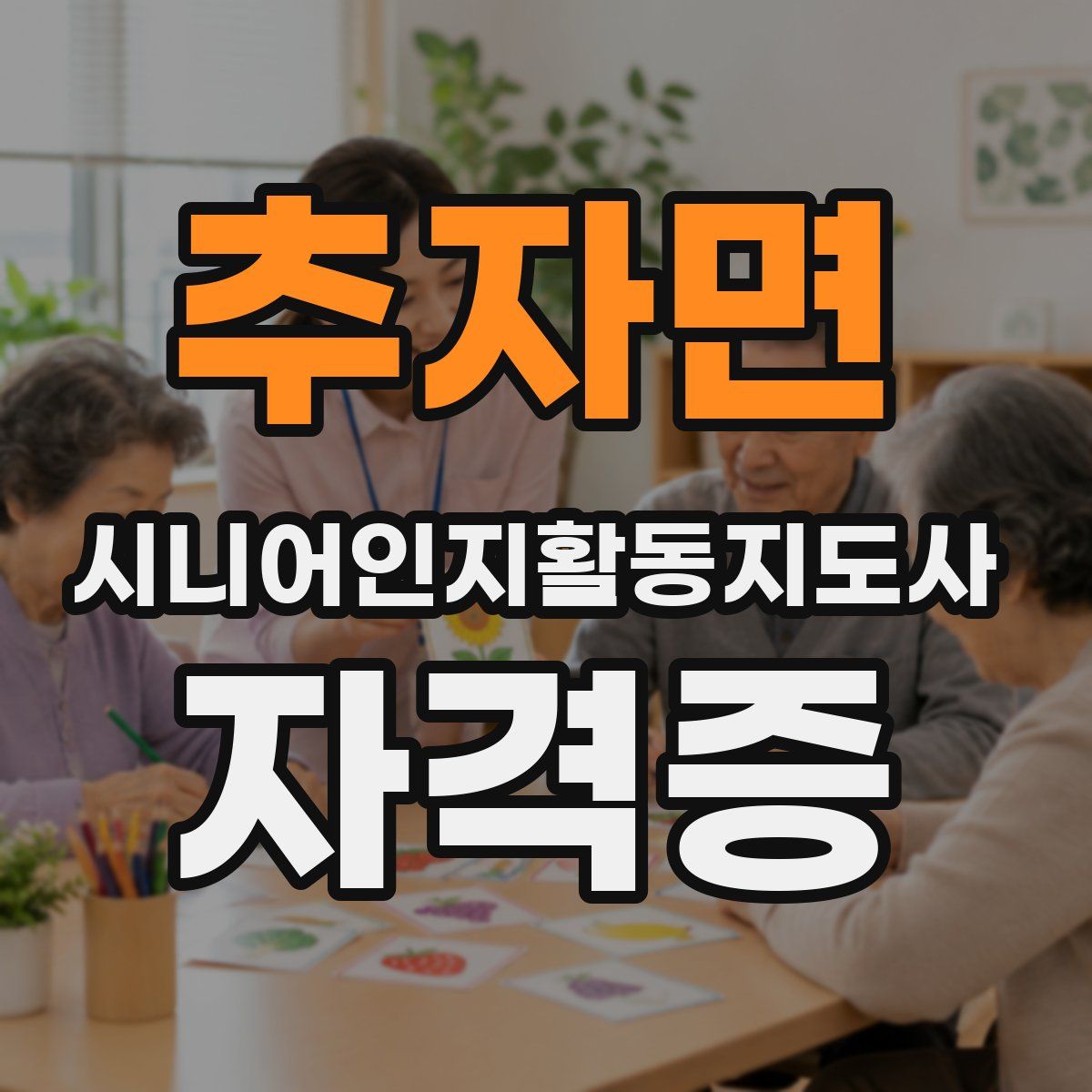 추자면 시니어인지활동지도사 자격증