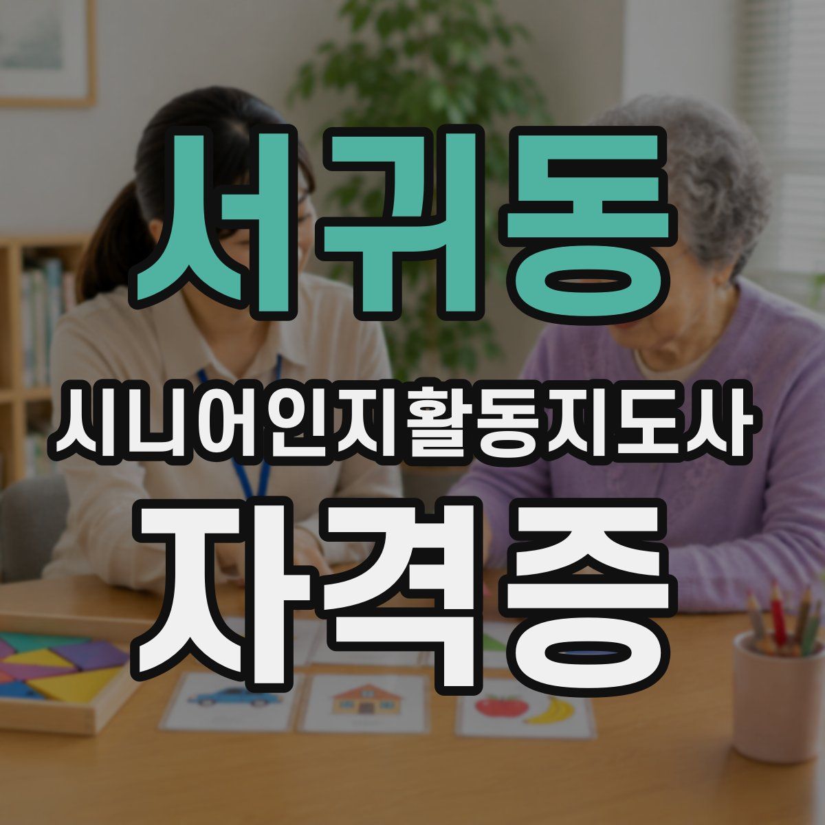 서귀동 시니어인지활동지도사 자격증