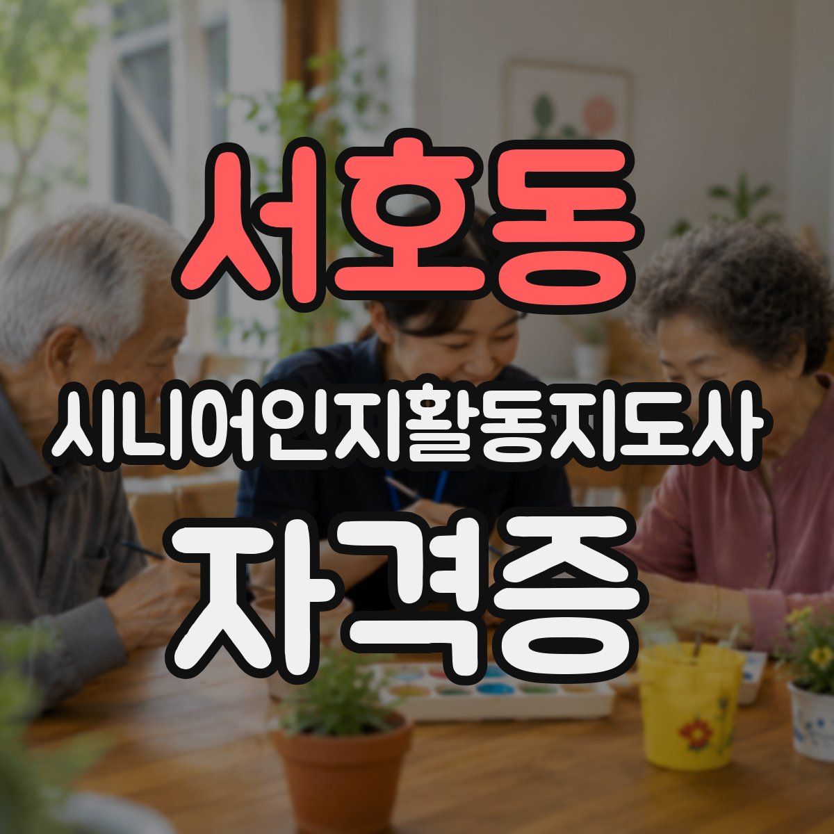 서호동 시니어인지활동지도사 자격증