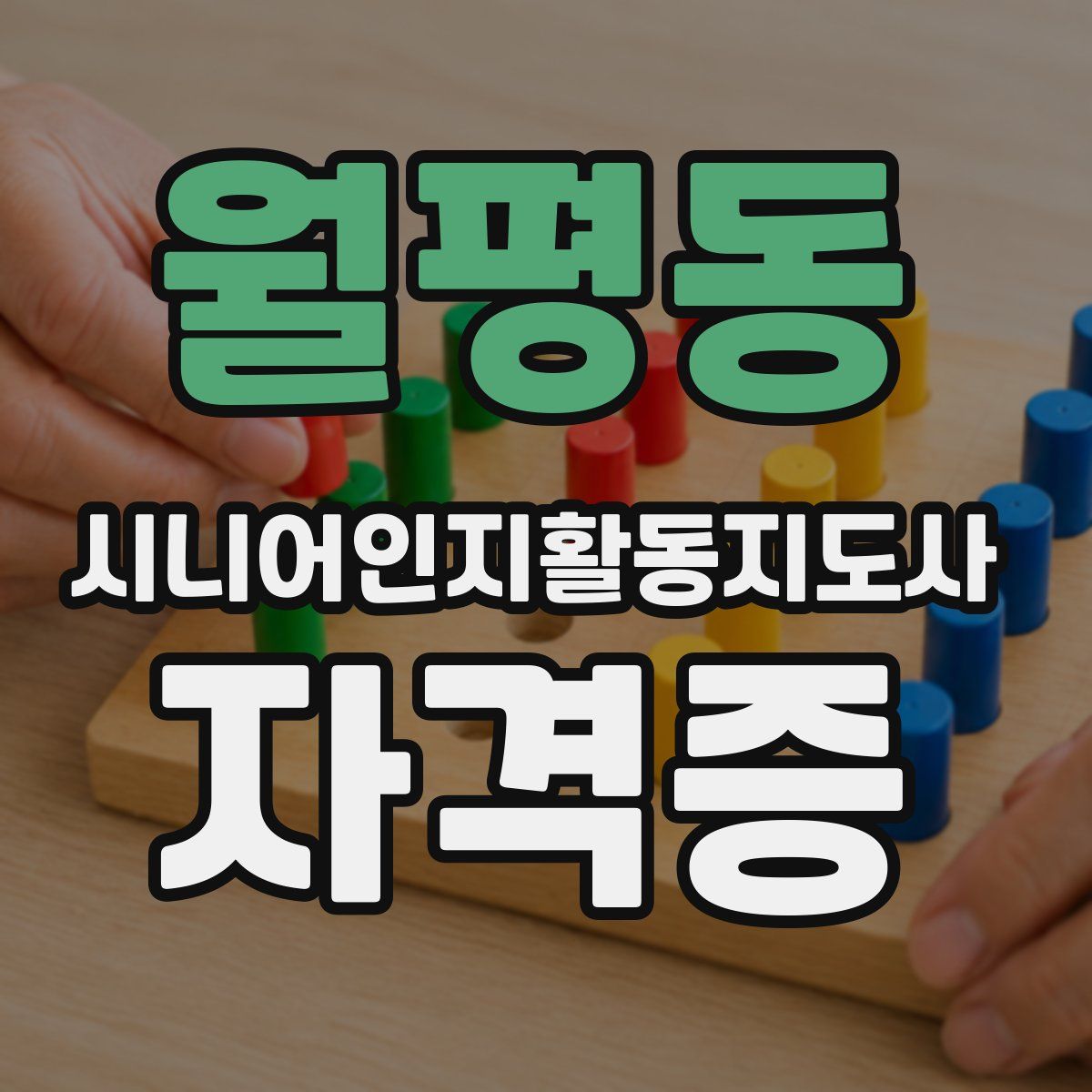 월평동 시니어인지활동지도사 자격증