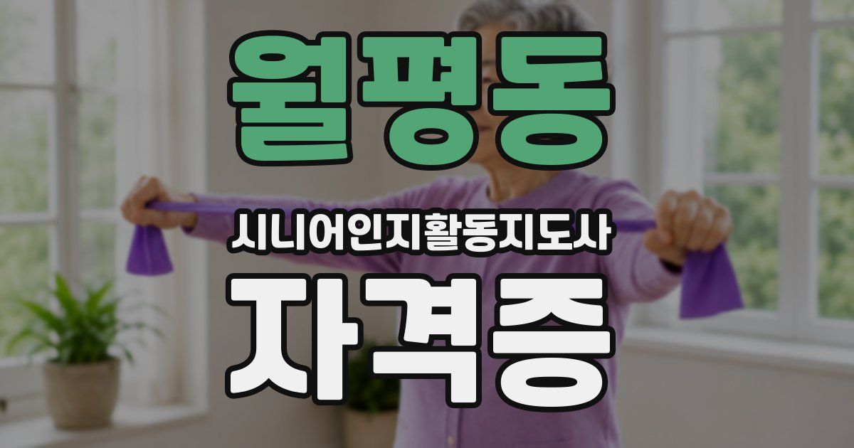 월평동 시니어인지활동지도사 자격증