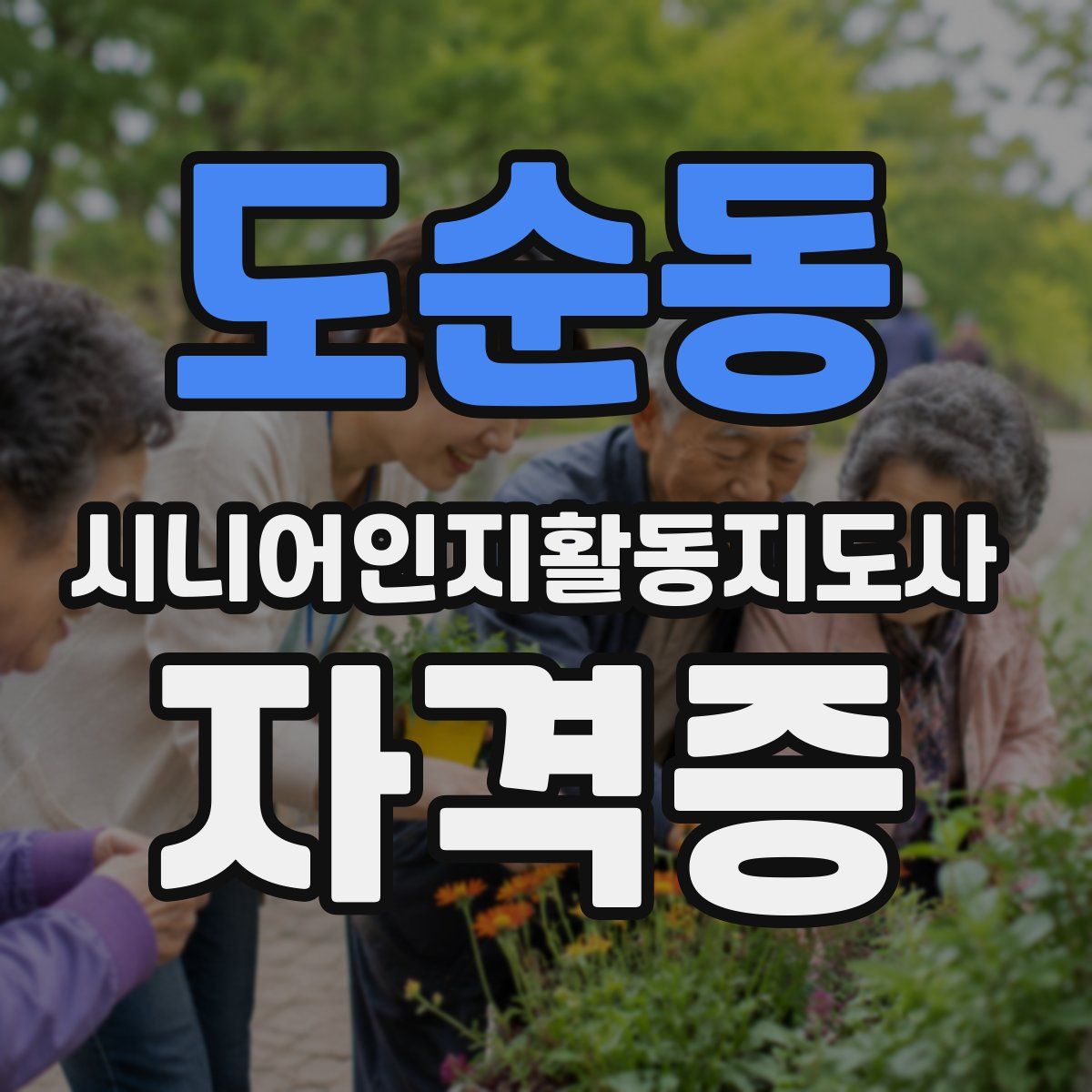 도순동 시니어인지활동지도사 자격증
