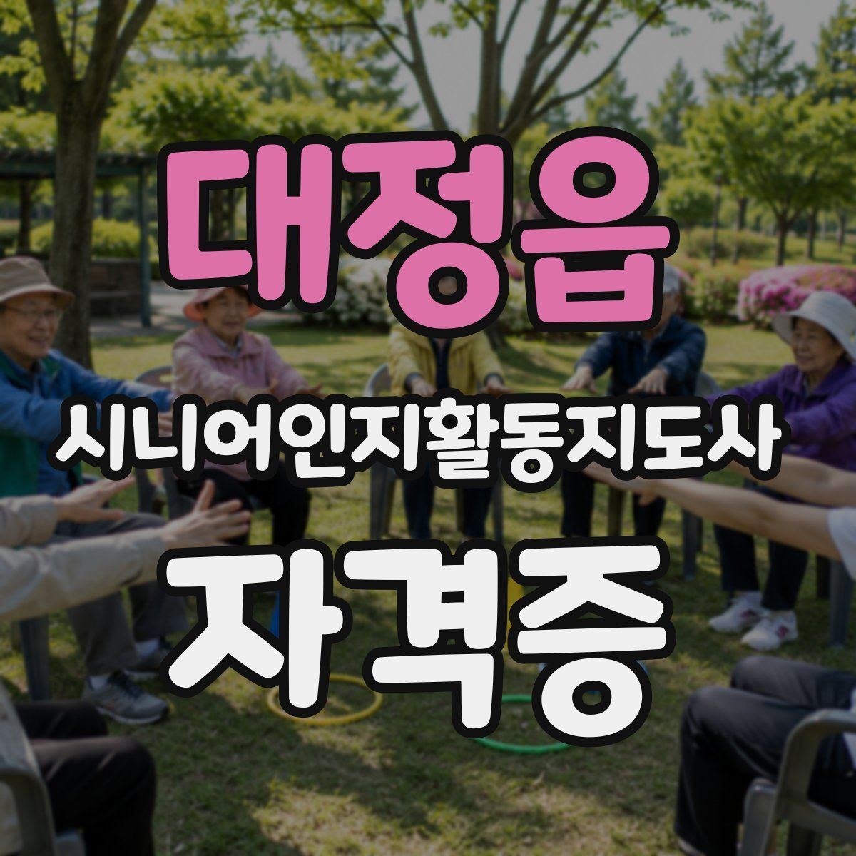 대정읍 시니어인지활동지도사 자격증