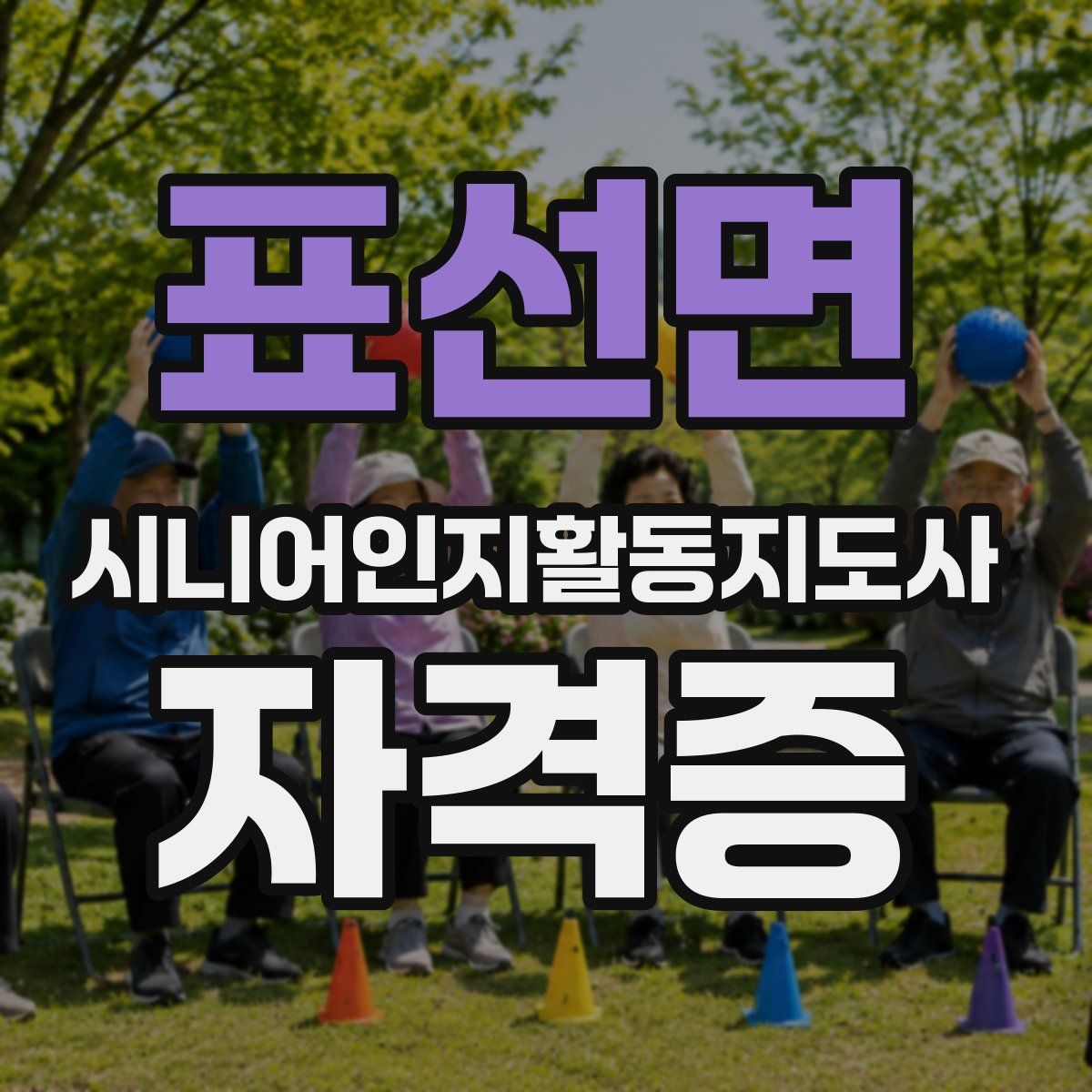 표선면 시니어인지활동지도사 자격증
