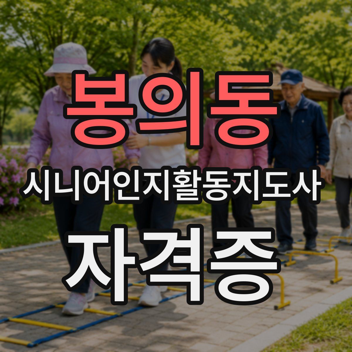 봉의동 시니어인지활동지도사 자격증