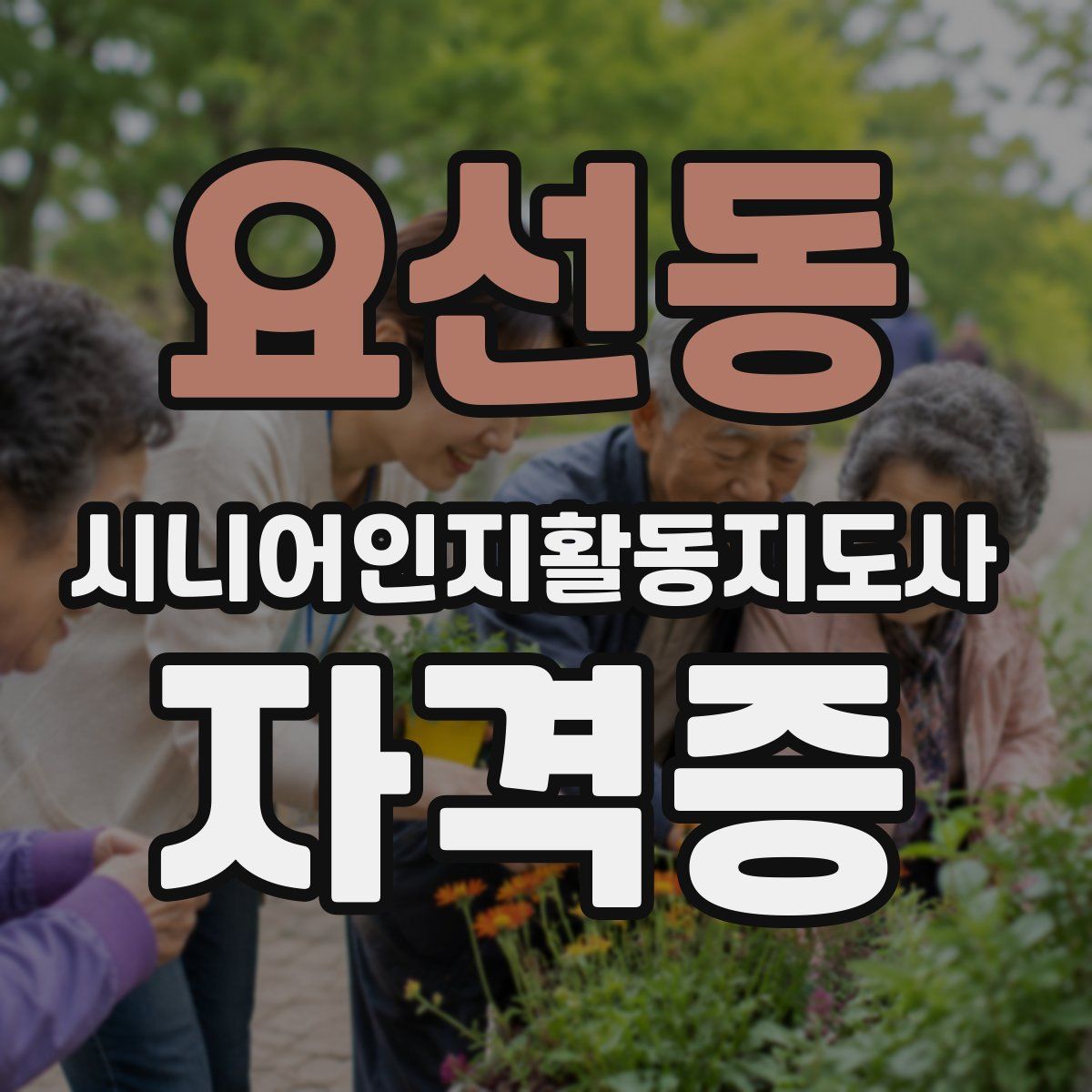 요선동 시니어인지활동지도사 자격증