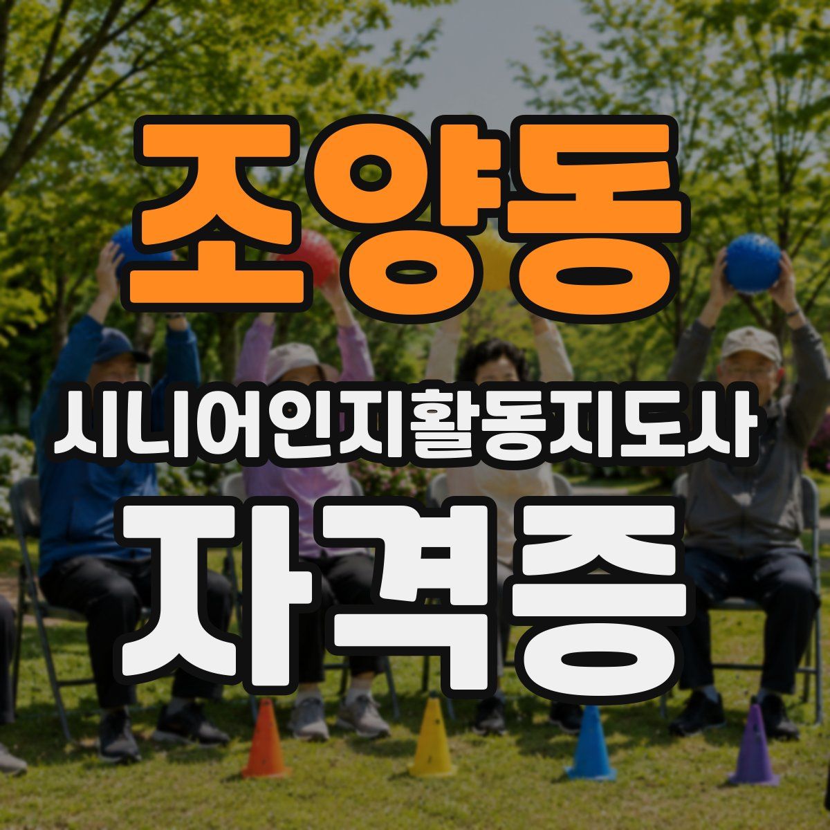 조양동 시니어인지활동지도사 자격증