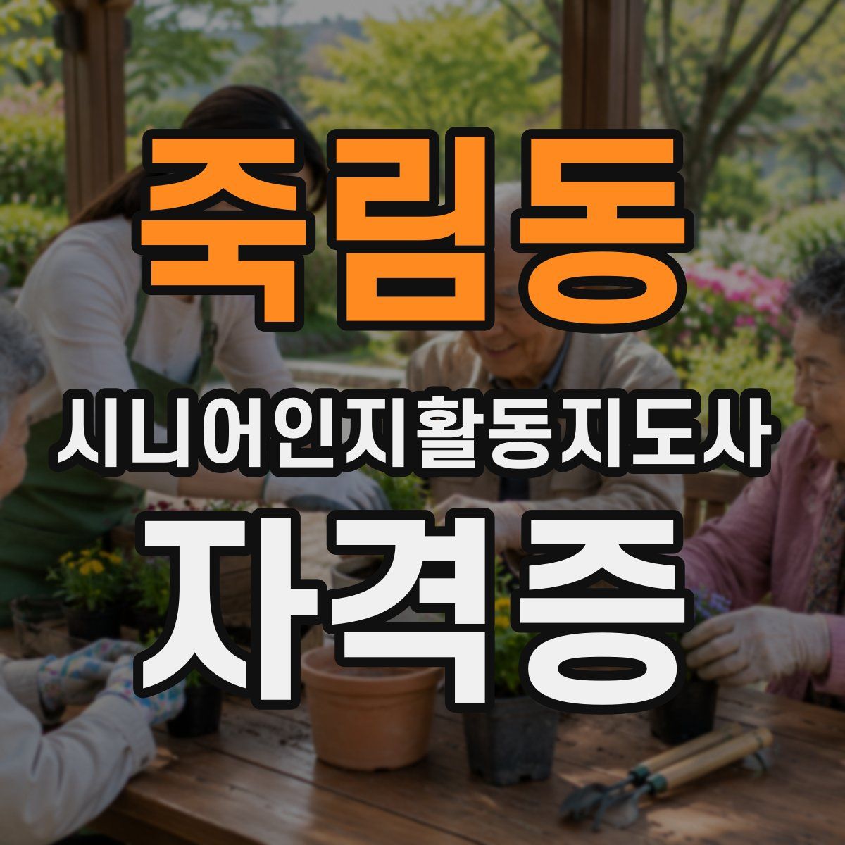 죽림동 시니어인지활동지도사 자격증