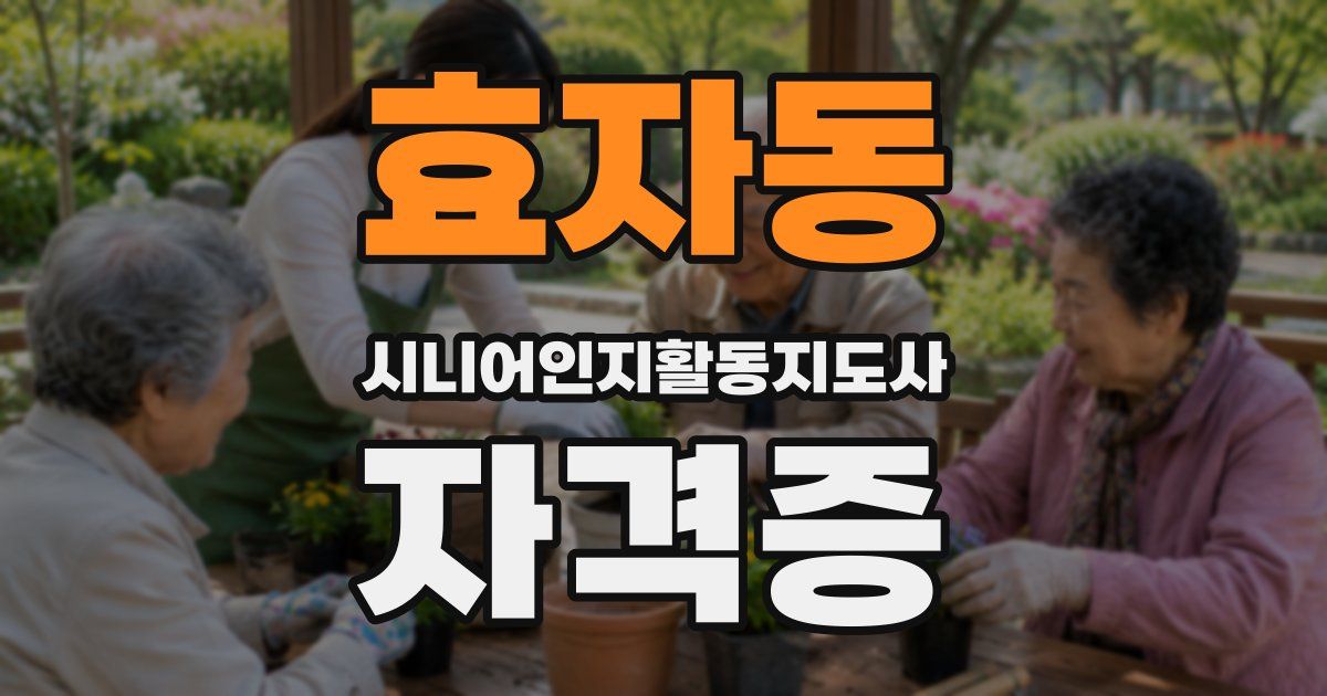 효자동 시니어인지활동지도사 자격증