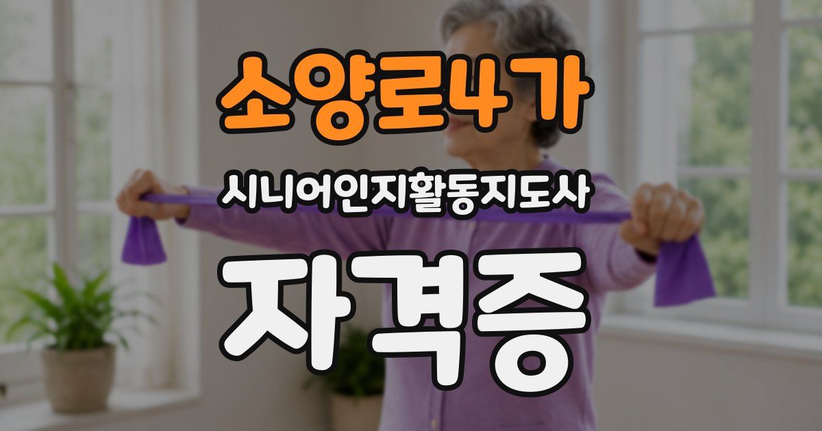 소양로4가 시니어인지활동지도사 자격증
