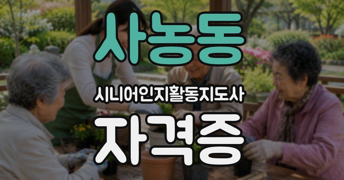 사농동 시니어인지활동지도사 자격증