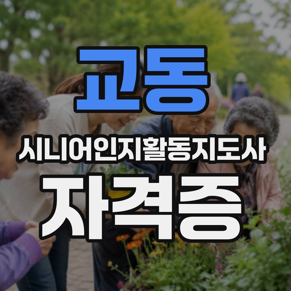 교동 시니어인지활동지도사 자격증