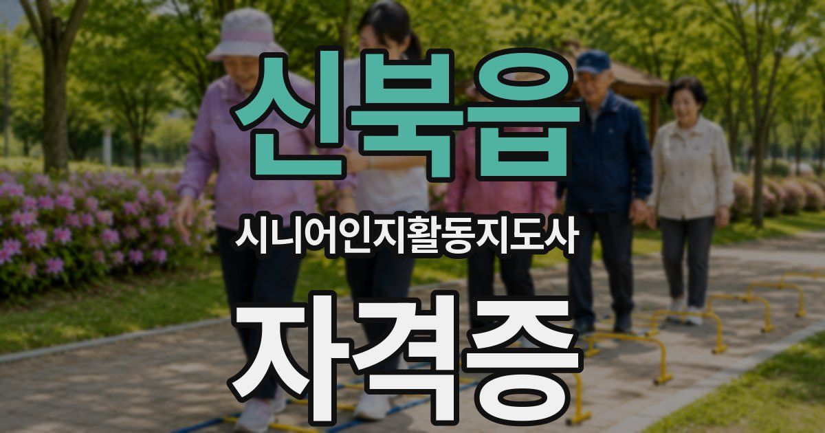 신북읍 시니어인지활동지도사 자격증