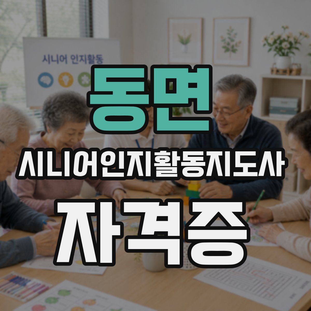 동면 시니어인지활동지도사 자격증