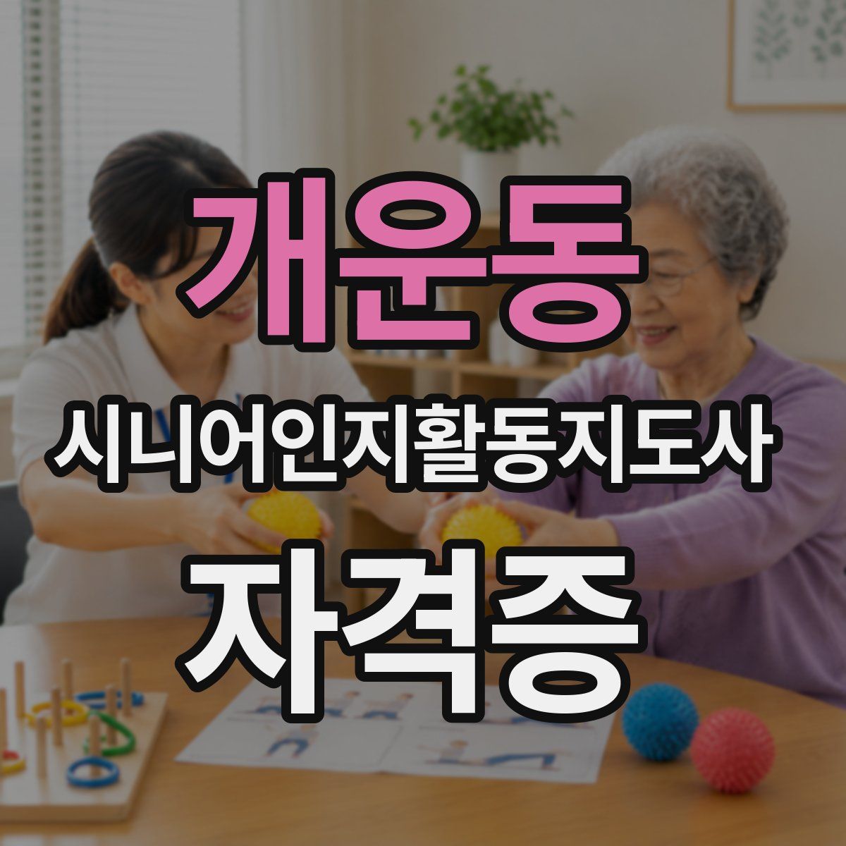 개운동 시니어인지활동지도사 자격증