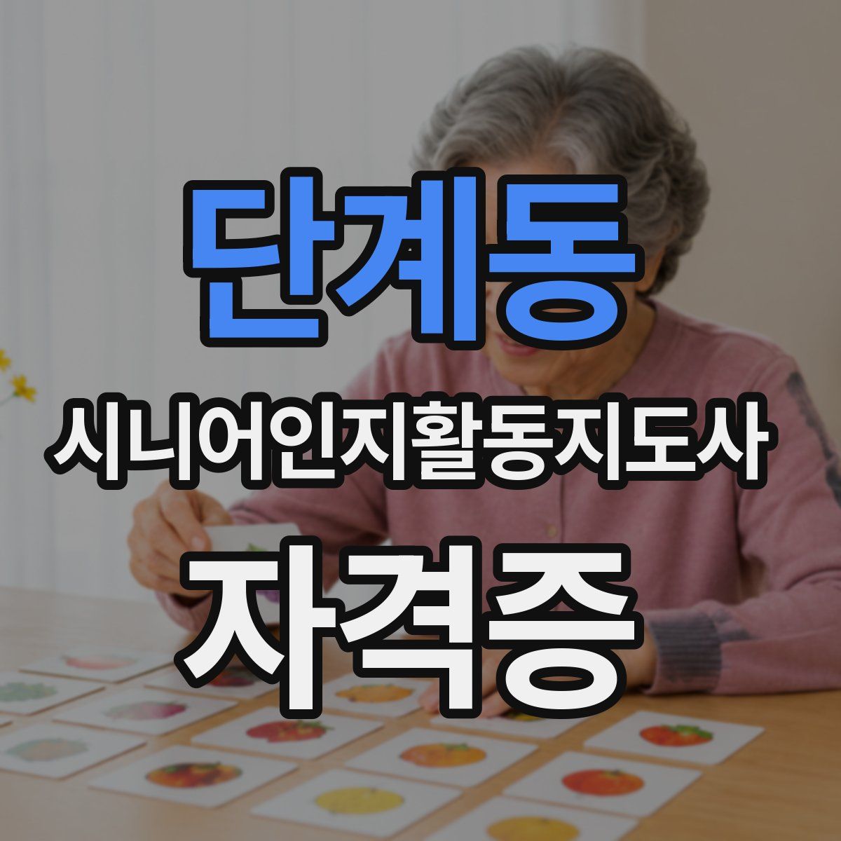 단계동 시니어인지활동지도사 자격증