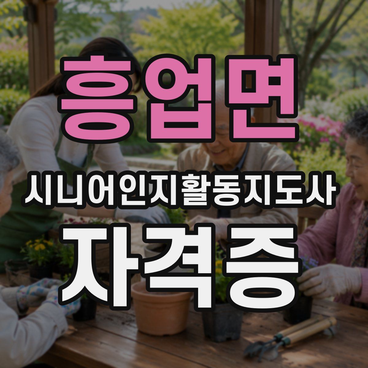 흥업면 시니어인지활동지도사 자격증
