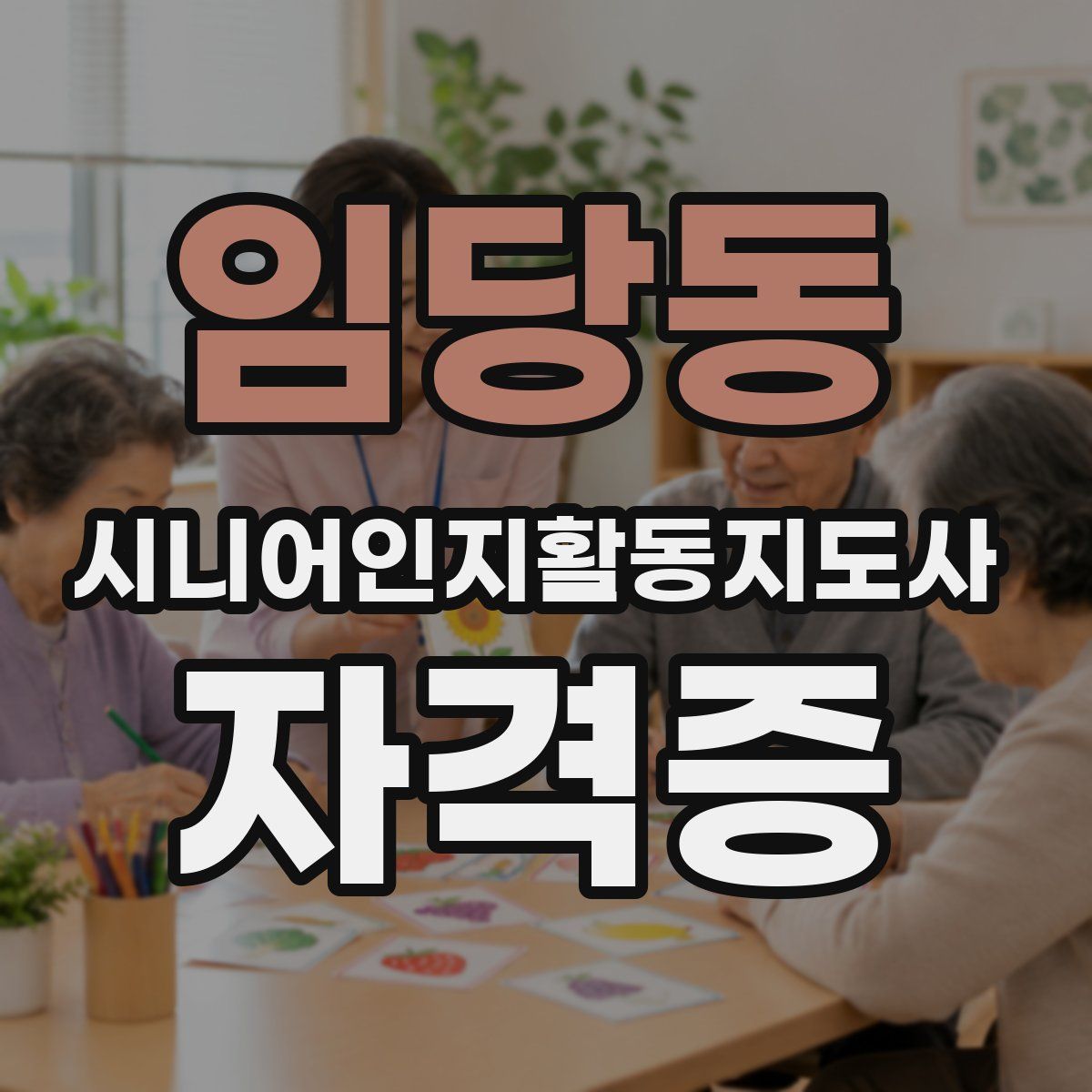 임당동 시니어인지활동지도사 자격증