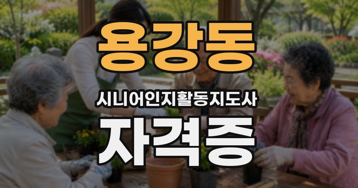 용강동 시니어인지활동지도사 자격증