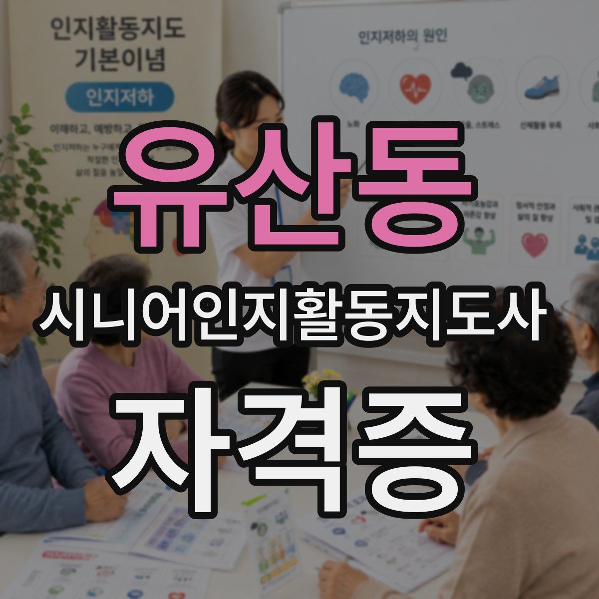 유산동 시니어인지활동지도사 자격증