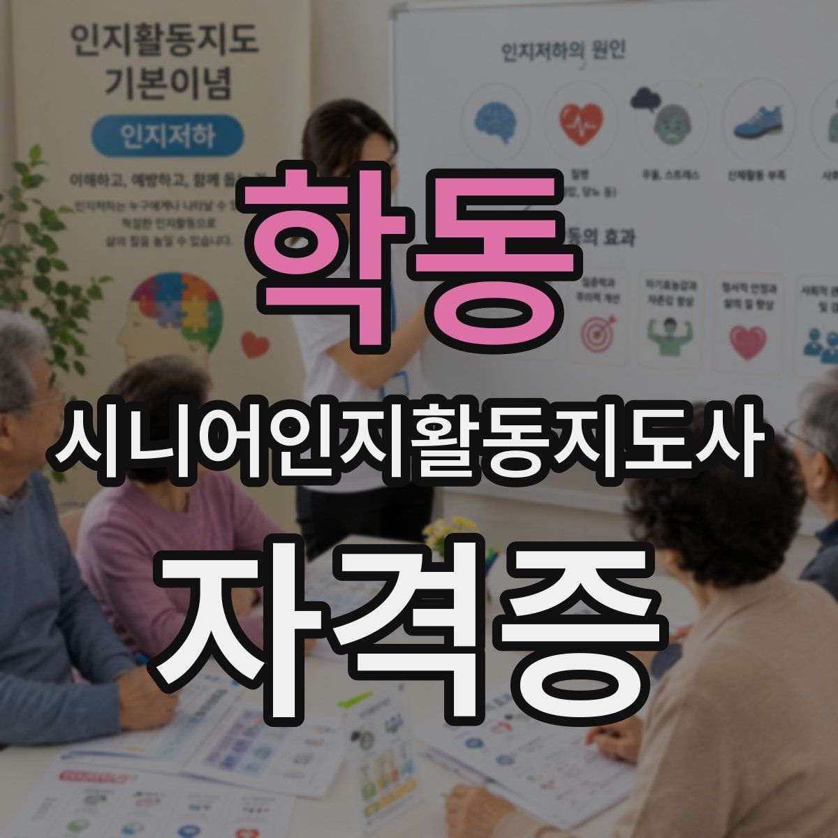 학동 시니어인지활동지도사 자격증