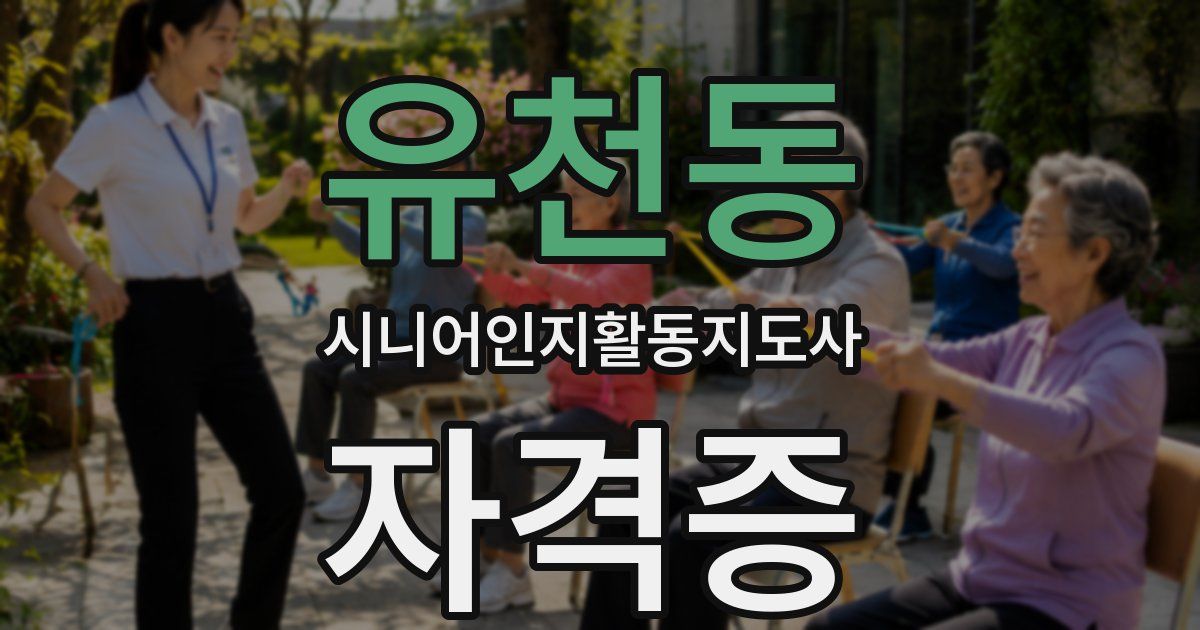유천동 시니어인지활동지도사 자격증