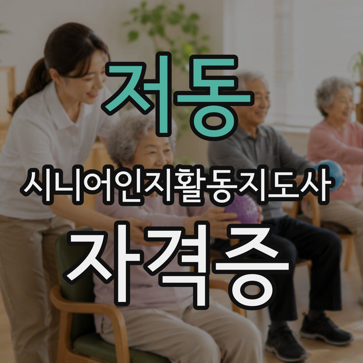 저동 시니어인지활동지도사 자격증