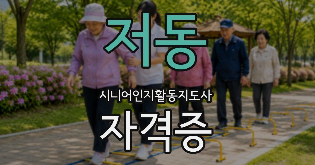 저동 시니어인지활동지도사 자격증