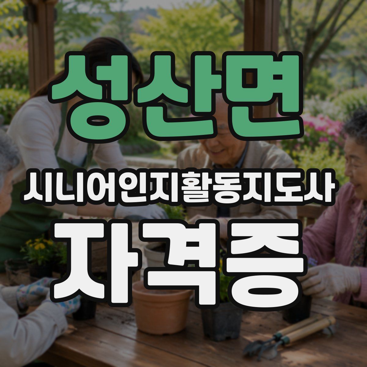 성산면 시니어인지활동지도사 자격증