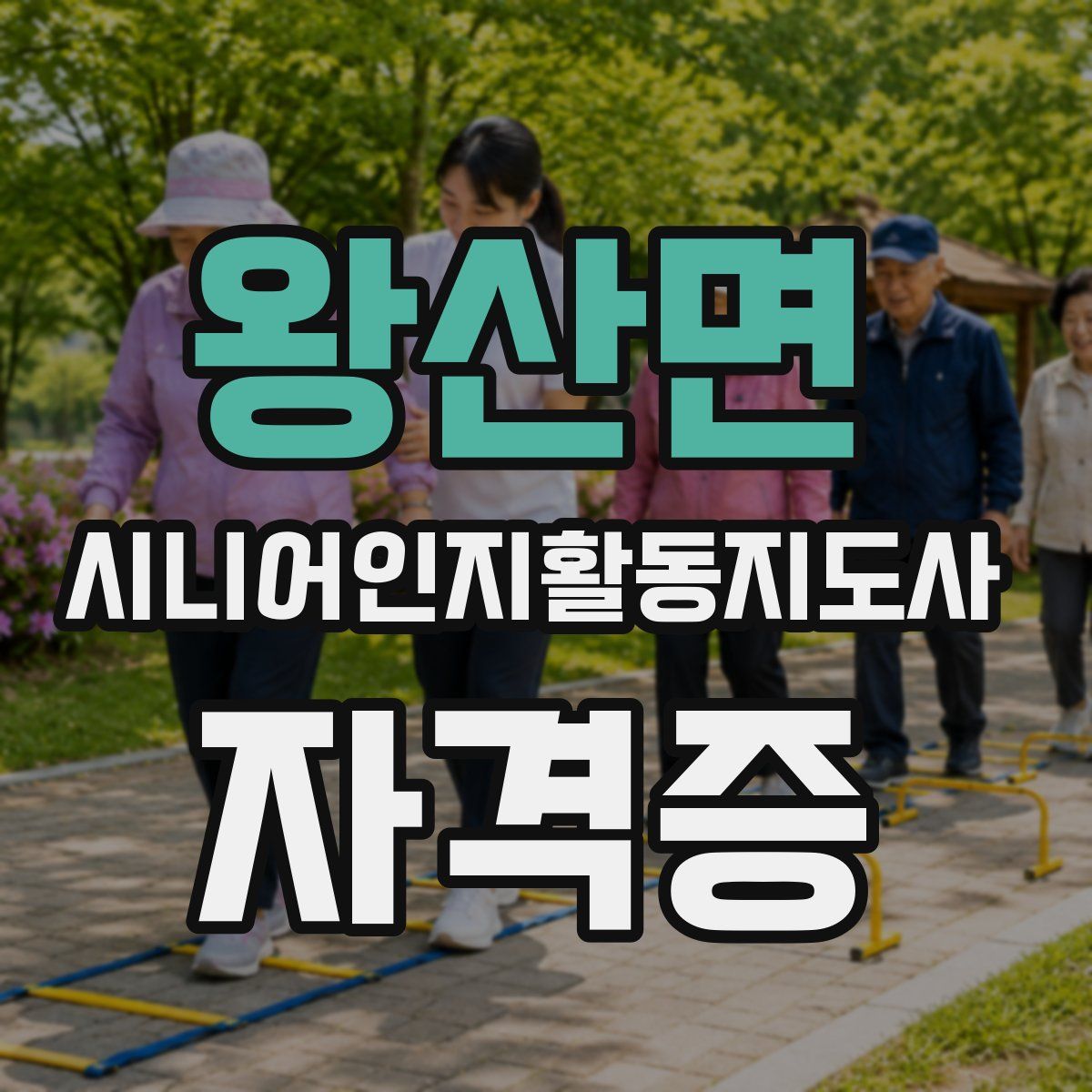 왕산면 시니어인지활동지도사 자격증