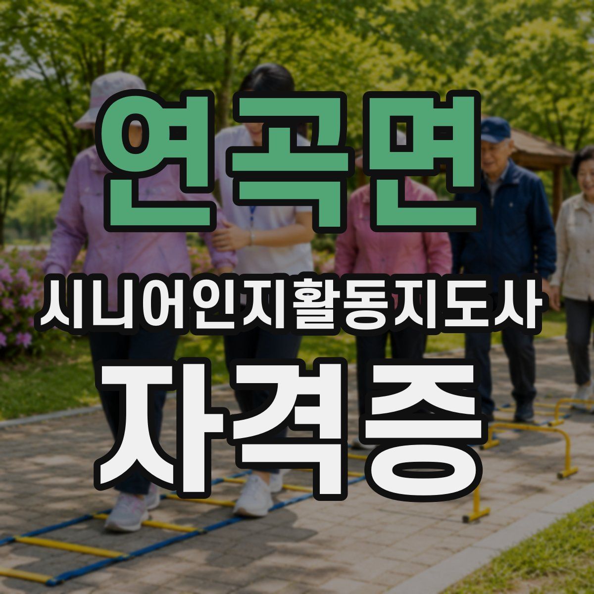 연곡면 시니어인지활동지도사 자격증