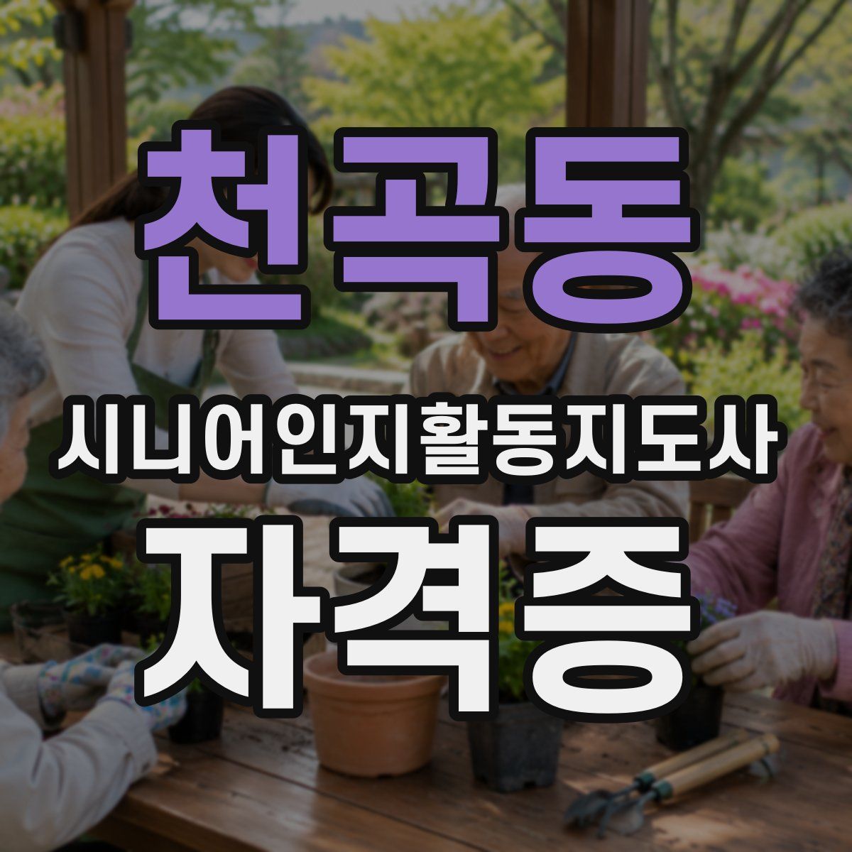 천곡동 시니어인지활동지도사 자격증