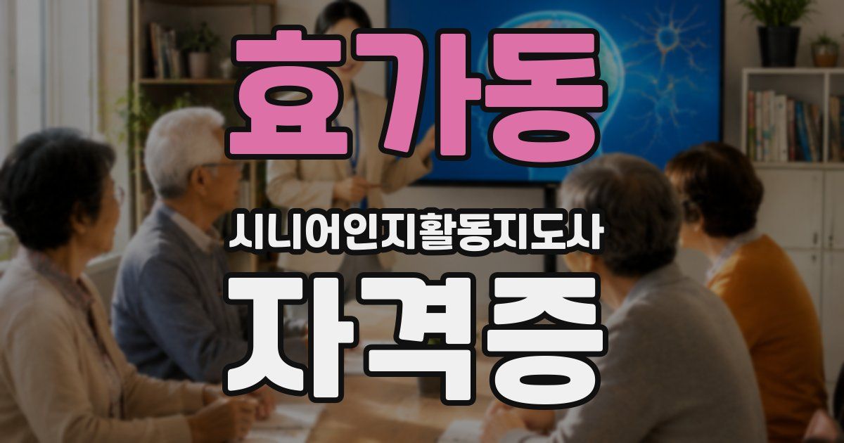 효가동 시니어인지활동지도사 자격증