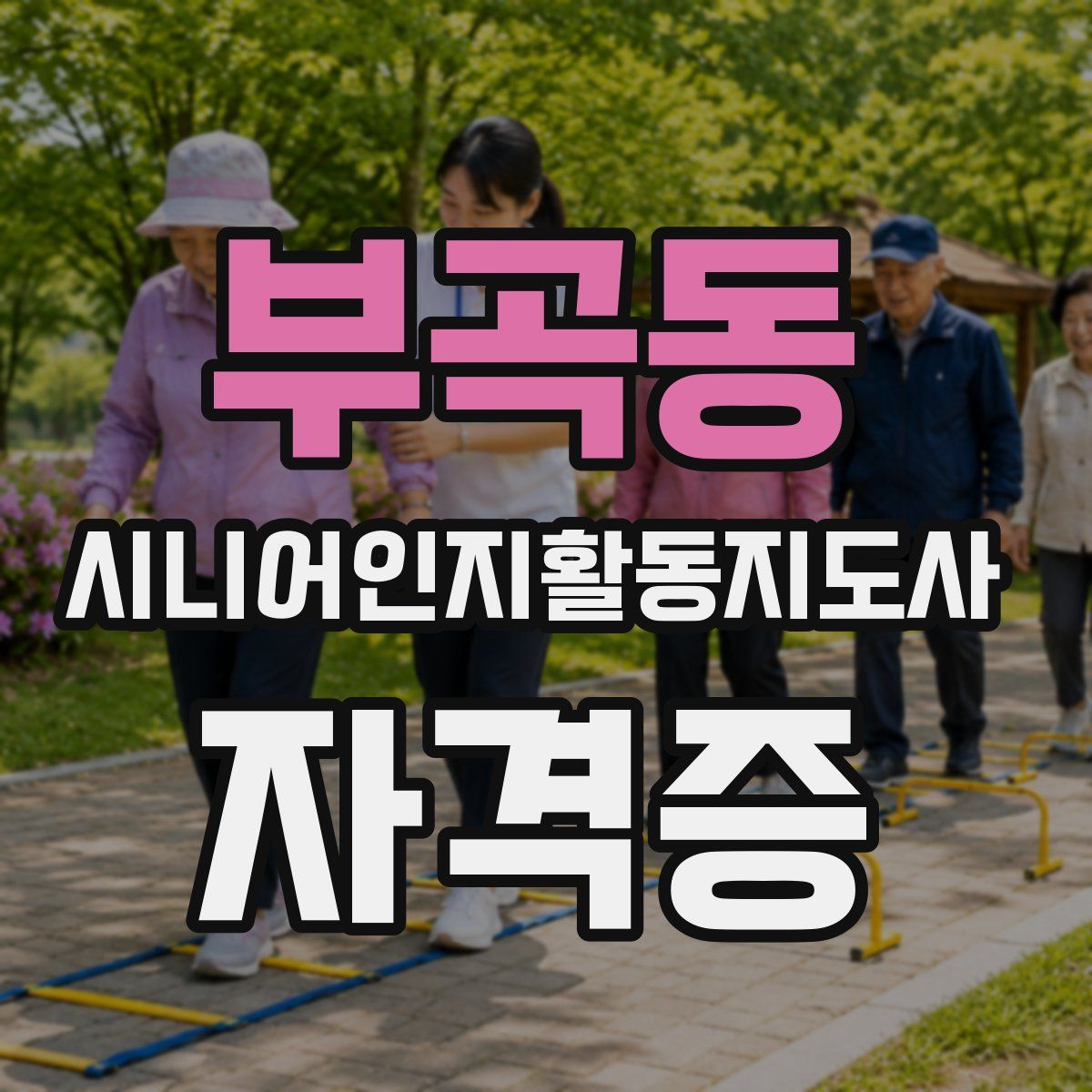 부곡동 시니어인지활동지도사 자격증