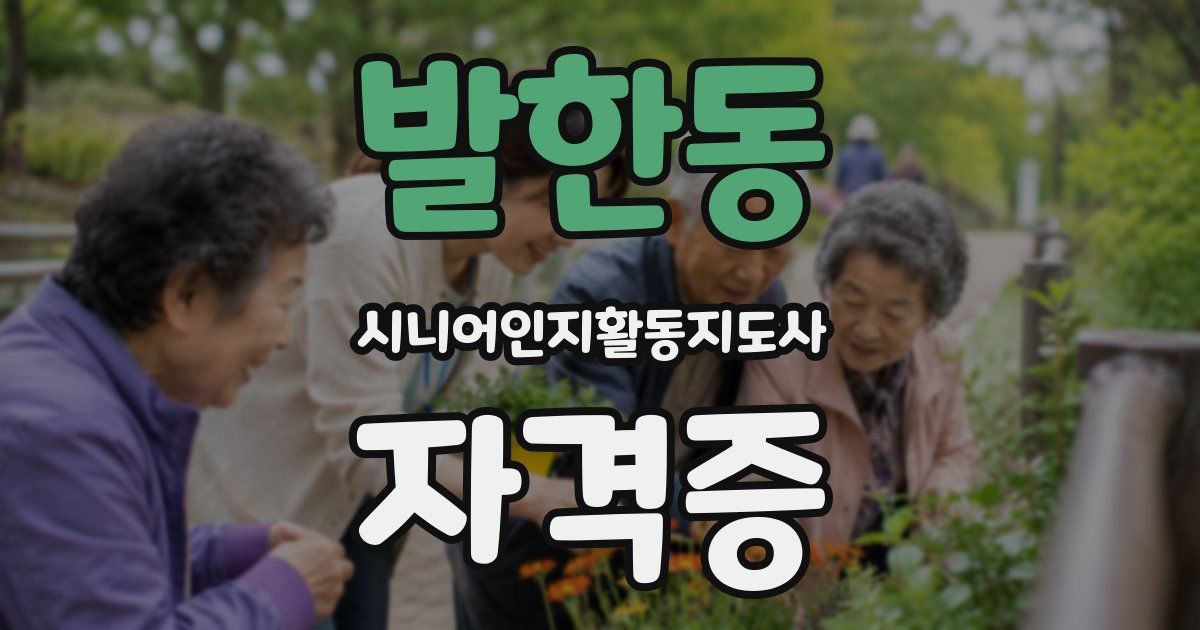 발한동 시니어인지활동지도사 자격증