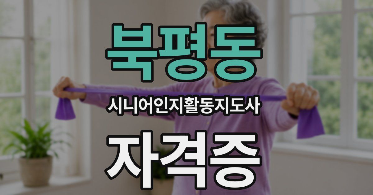 북평동 시니어인지활동지도사 자격증