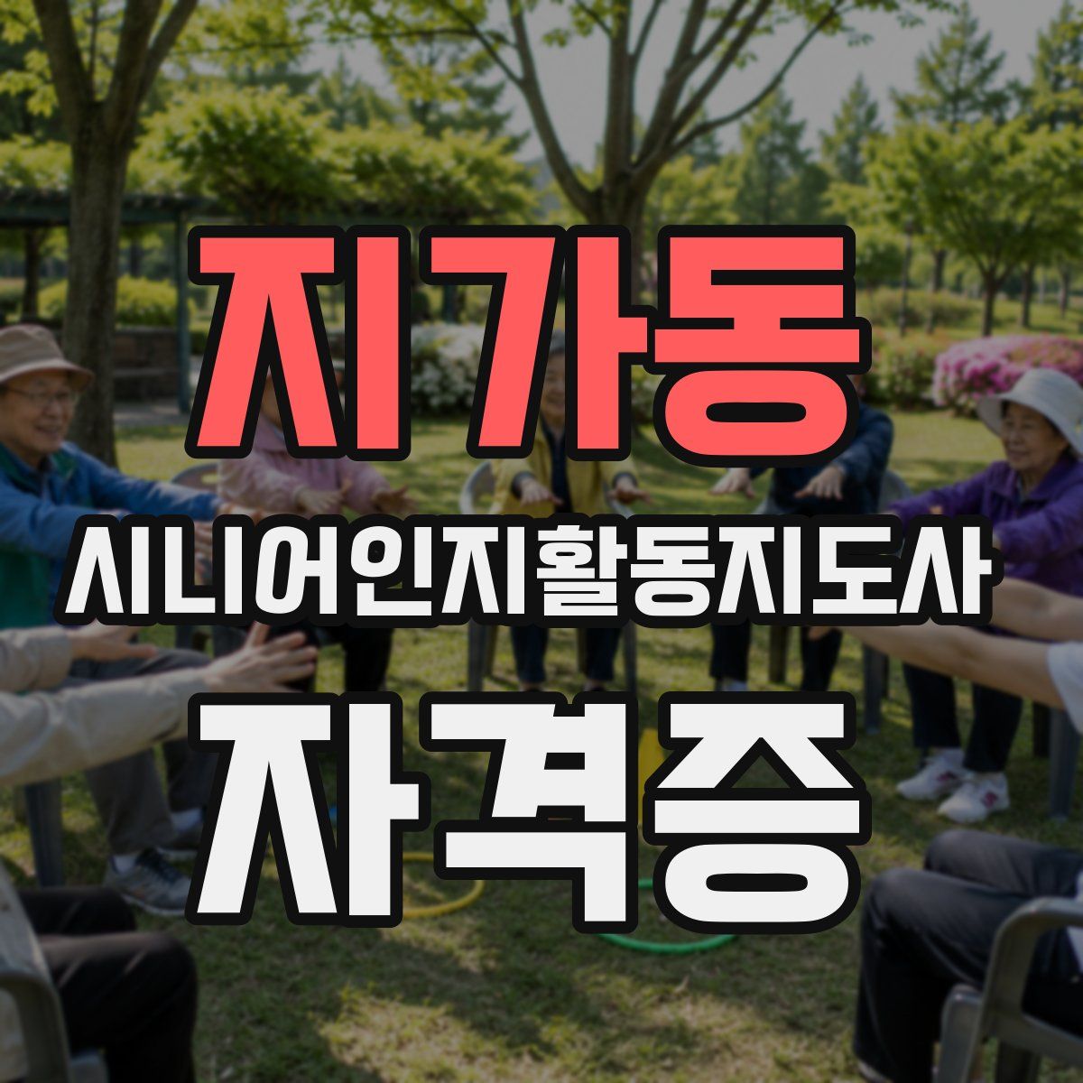 지가동 시니어인지활동지도사 자격증