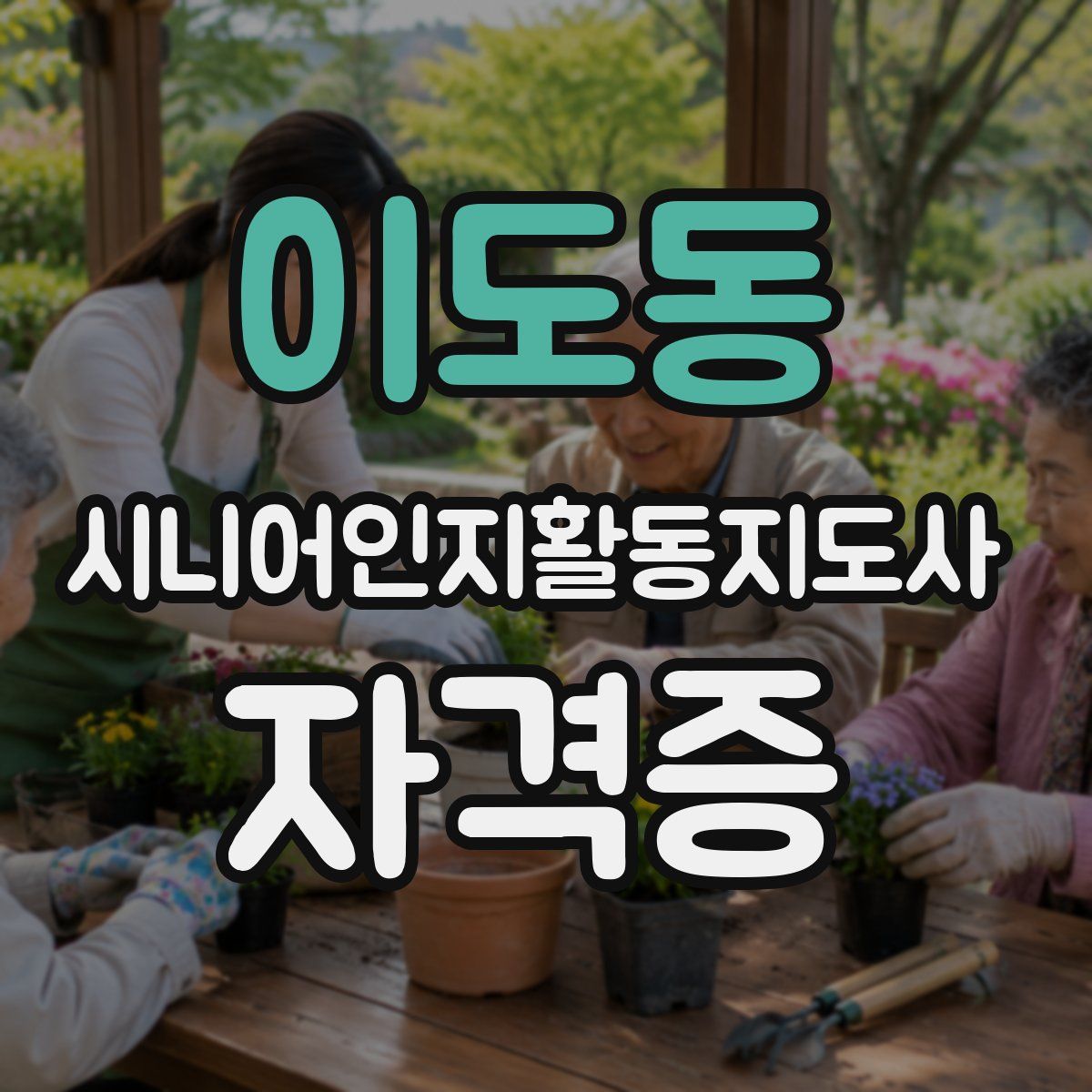 이도동 시니어인지활동지도사 자격증