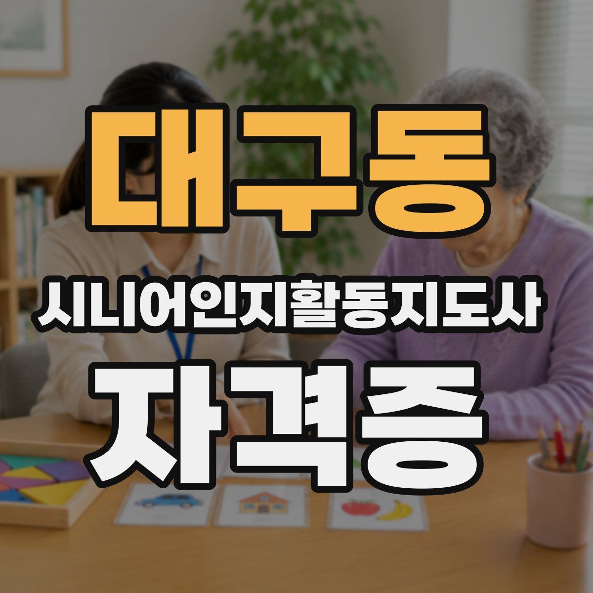 대구동 시니어인지활동지도사 자격증