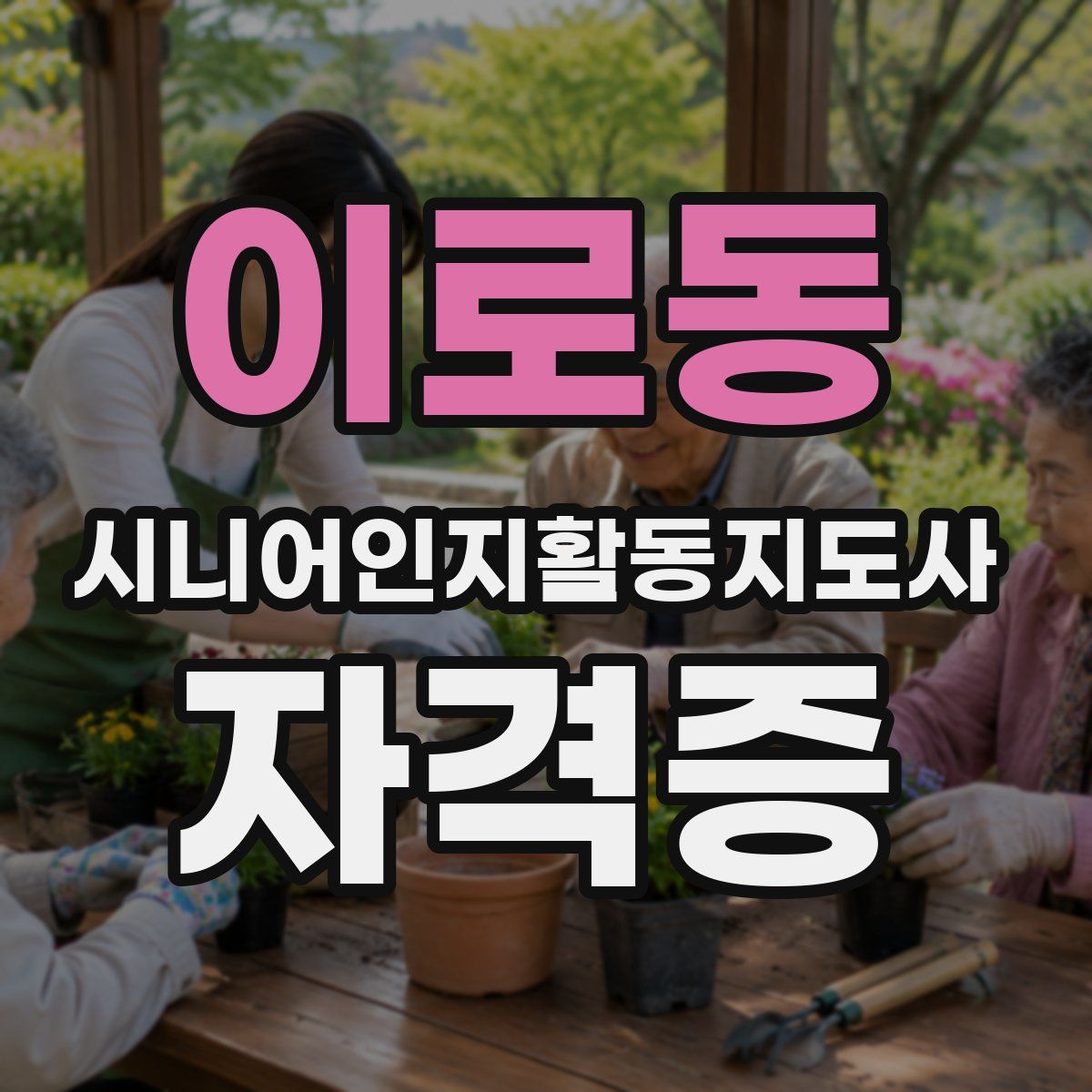 이로동 시니어인지활동지도사 자격증