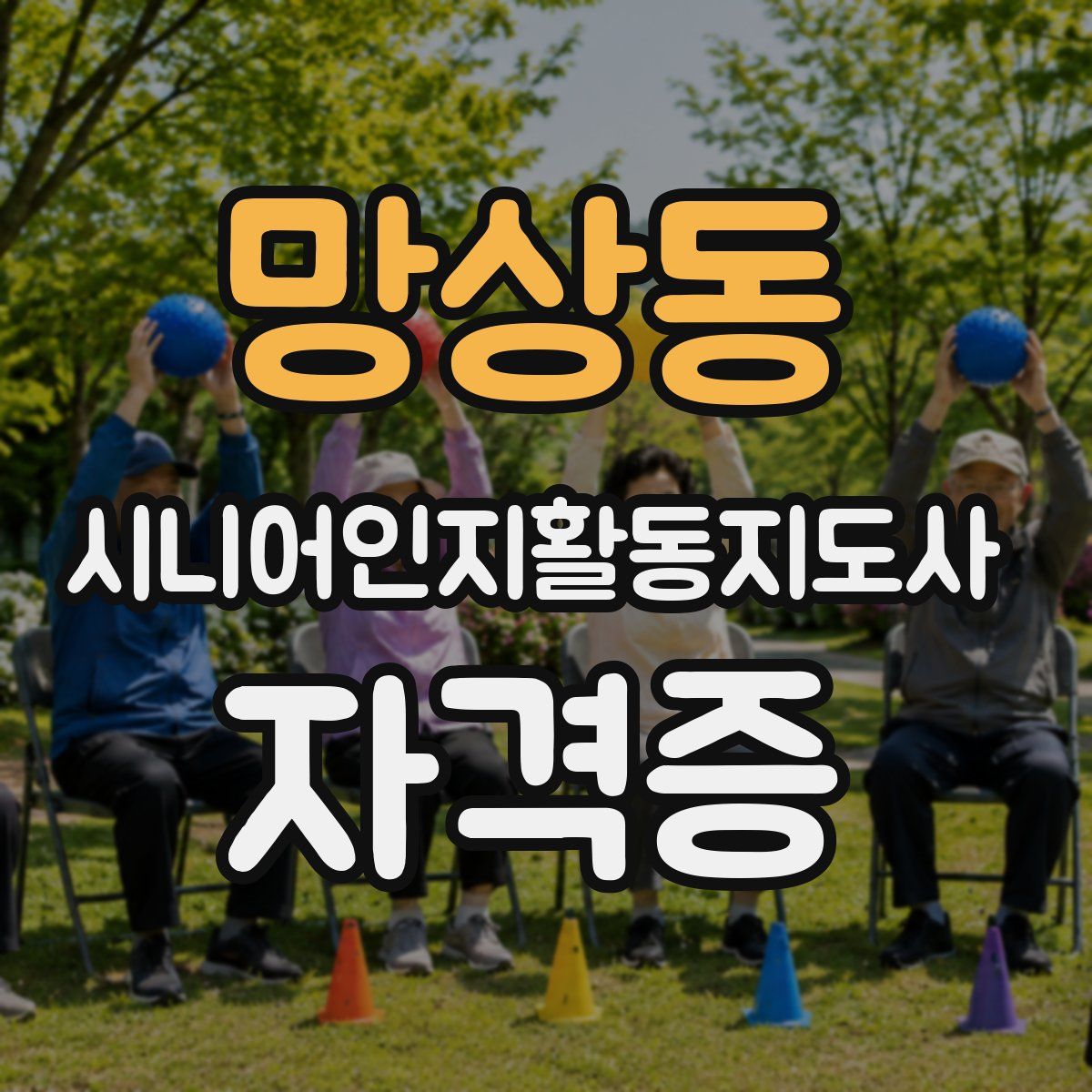 망상동 시니어인지활동지도사 자격증